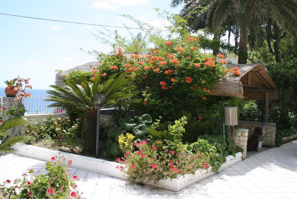 Hotel Villa Bina Sant'Angelo  Eksteriør bilde