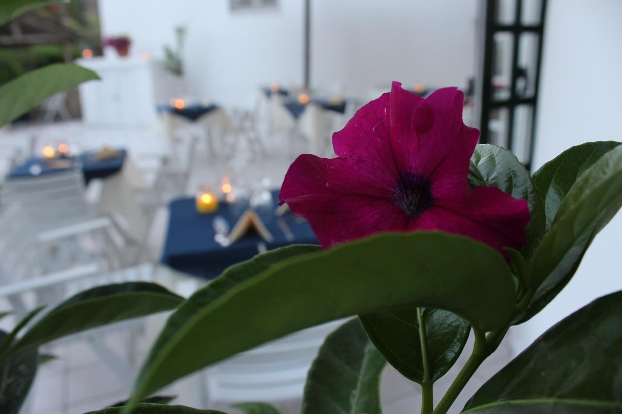 Hotel Villa Bina Sant'Angelo  Eksteriør bilde