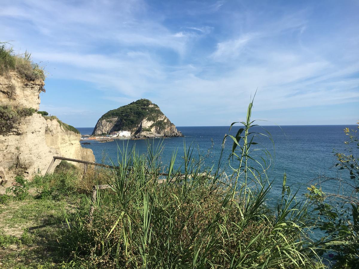 Hotel Villa Bina Sant'Angelo  Eksteriør bilde